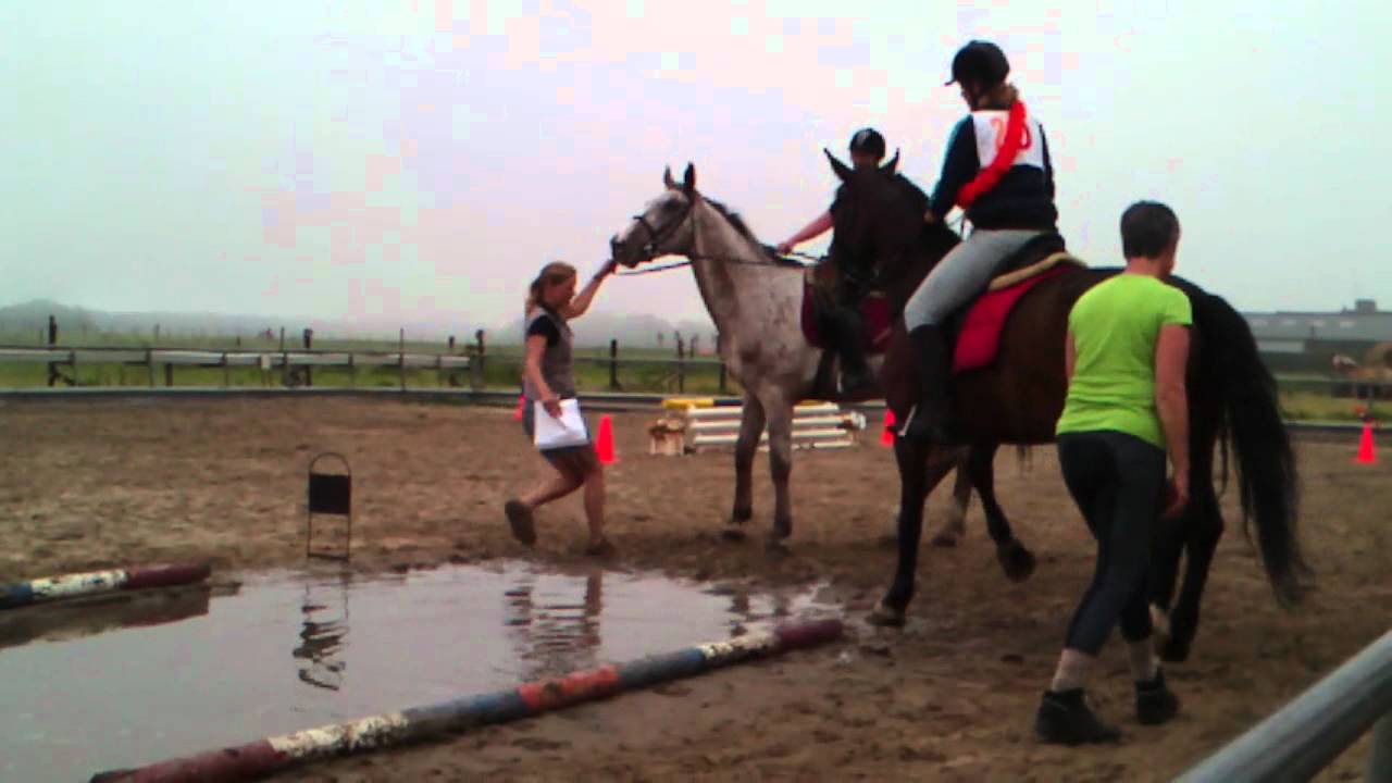 Pinkstercross Manege Groot met Bellissimo