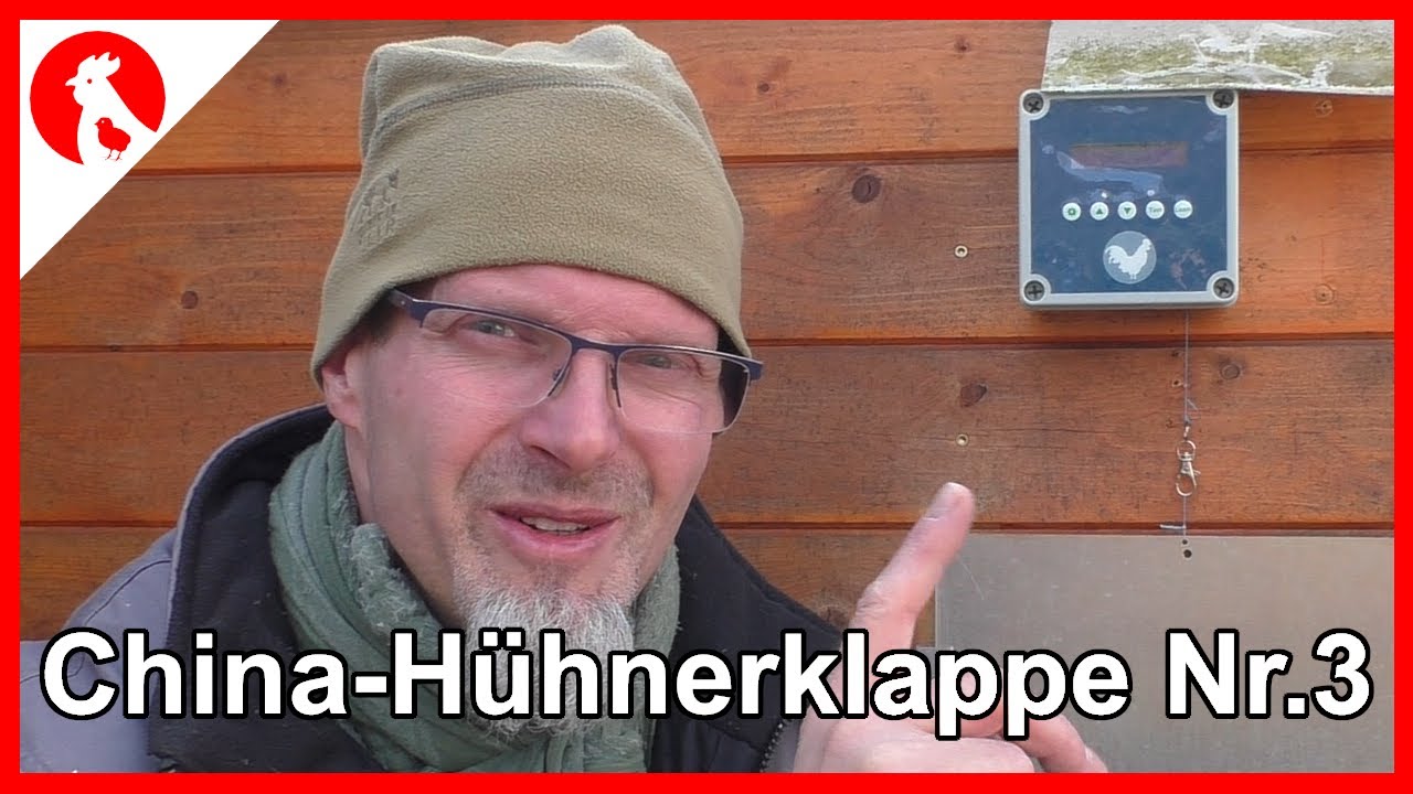 099 China Hühnerklappe Nr.3 im Test -  Jensman and the Huhns