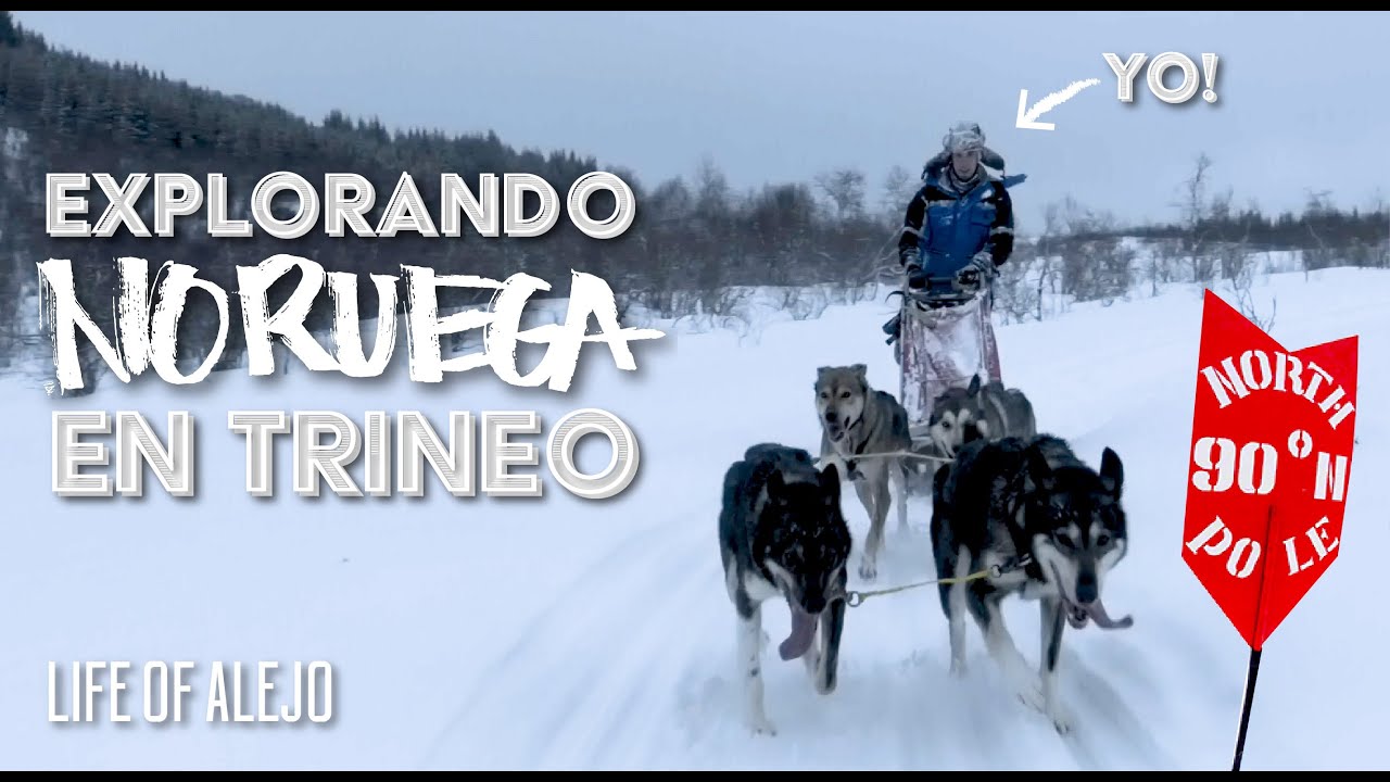 Trineo de Huskies en el Círculo Ártico. Así exploramos NORUEGA! | Life of Alejo