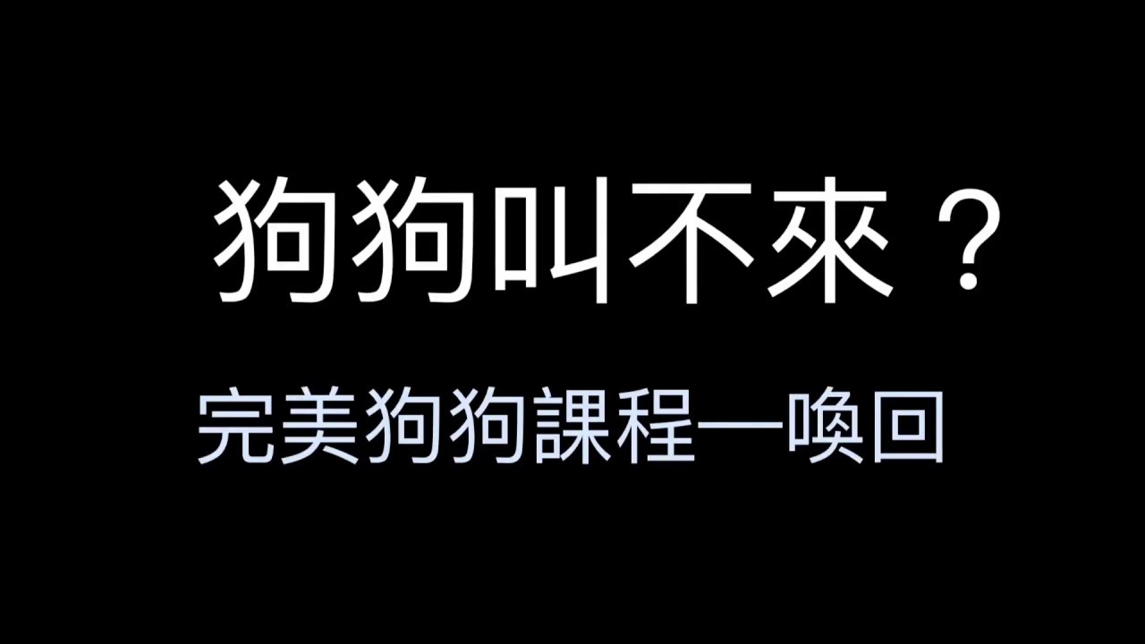 About Dogs 🐶｜你養的狗狗都叫不過來？做好喚回訓練，狗狗以後會朝你狂奔！