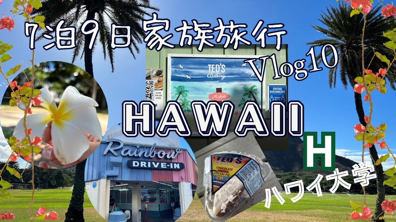 【節約ハワイ旅行Vlog】家族でハワイを楽しむ方法♪こんなんもあり！？