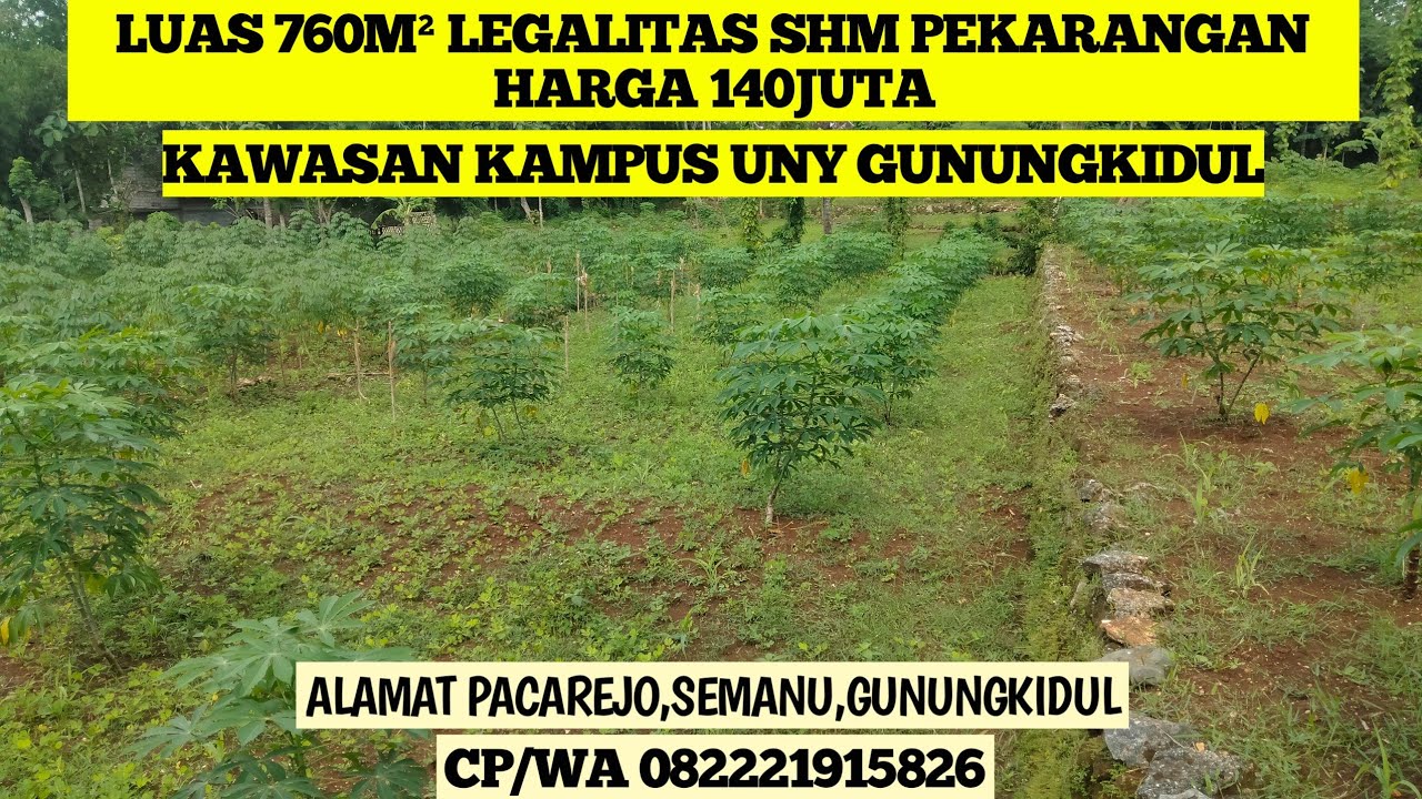 #tanahdijual Dekat kampus UNY Gunungkidul || Luas 760m&sup2; Harga Cukup 140 Juta