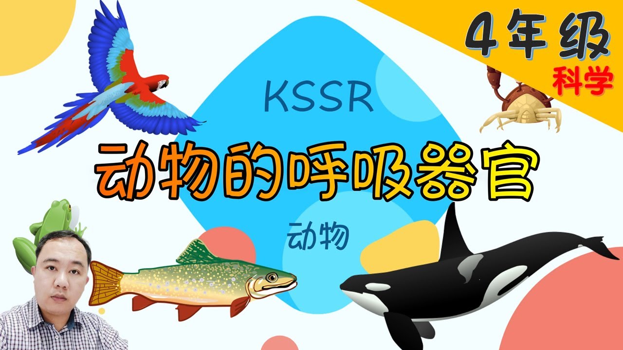 【动物的呼吸器官】| 【动物 PART 1/2 】4年级 | KSSR  | TSLAU