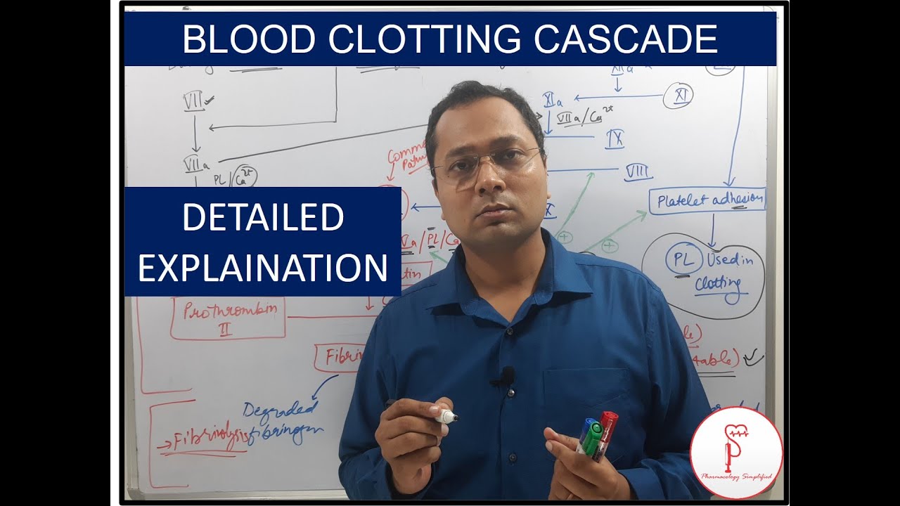 Blood clotting: Hemostasis- Clotting factors and clotting cascade