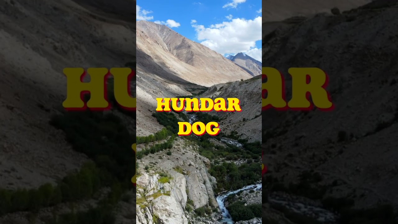 Hidden gems of Ladakh: EXPOSED! Must-visit offbeat locations |  #shorts
