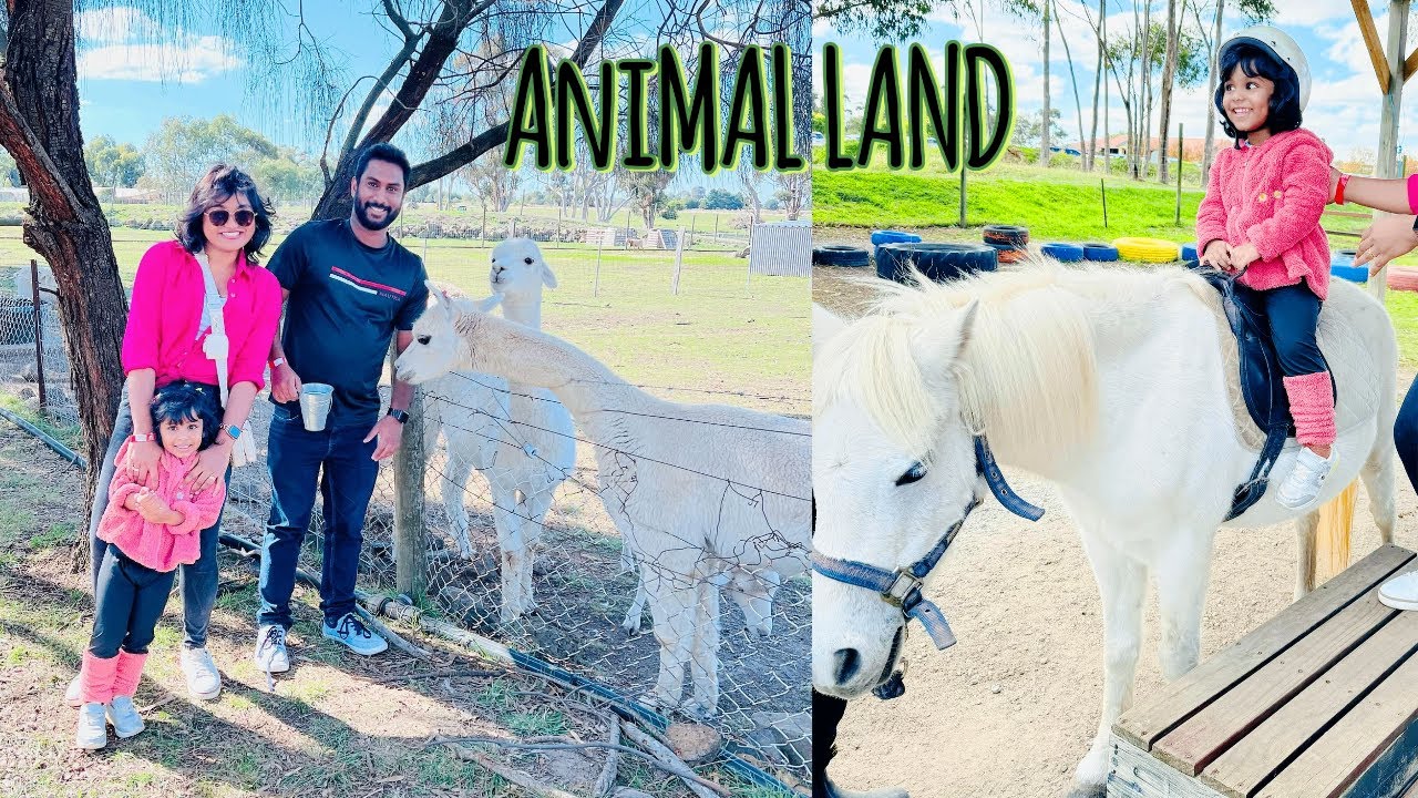 Animal Land Children's Farm - Diggers Rest | Australia
