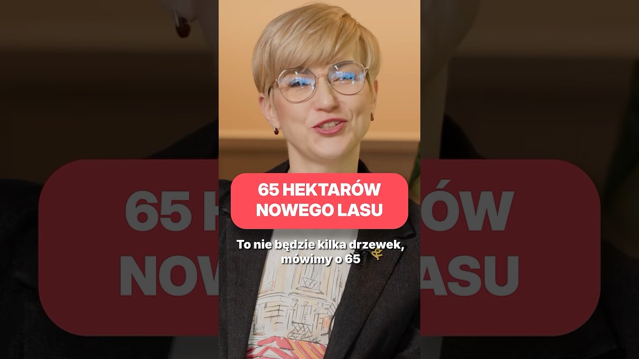 ZIELONY KLIN WROCŁAWIA I DRZEWA W RYNKU, CZYLI POWR&Oacute;T DO NATURY