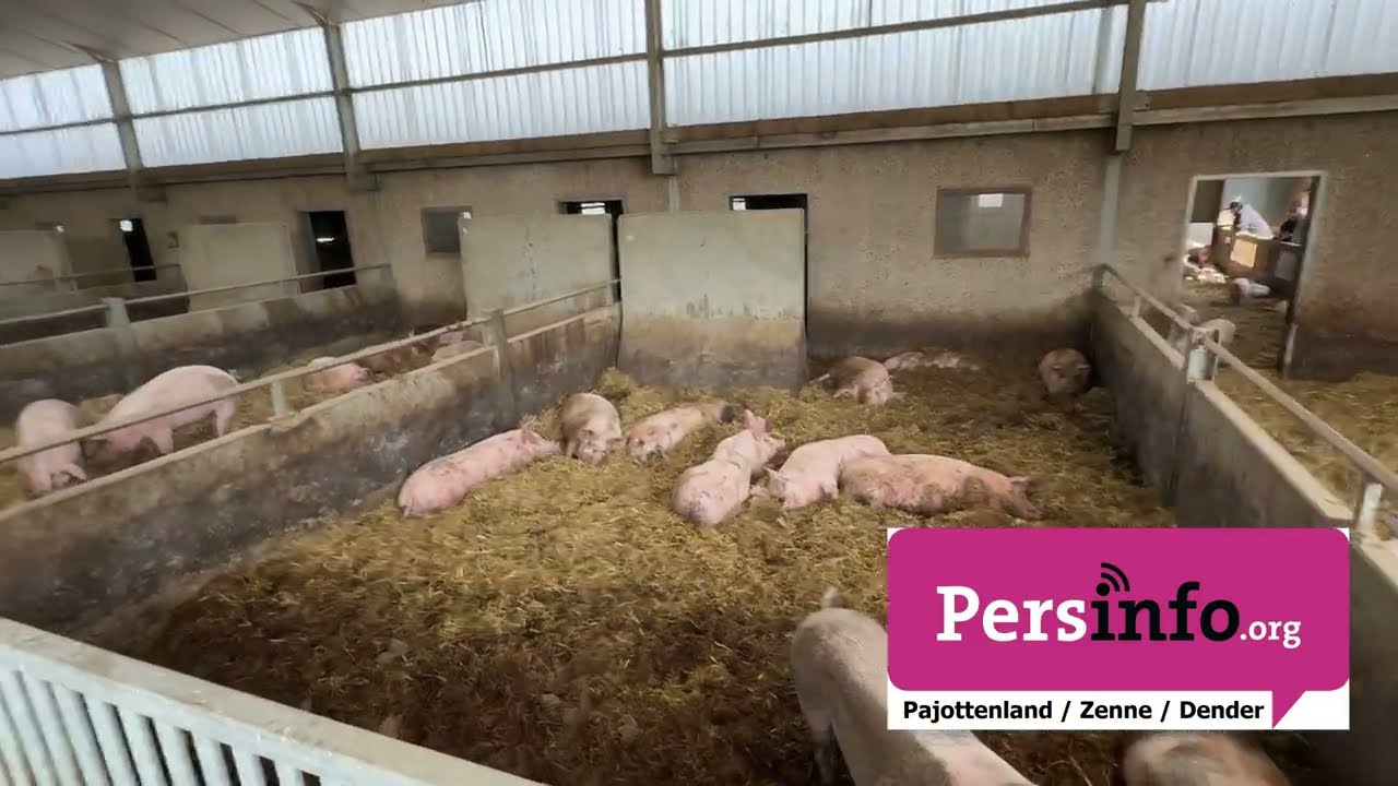 Opendeur in Hof te Kattem