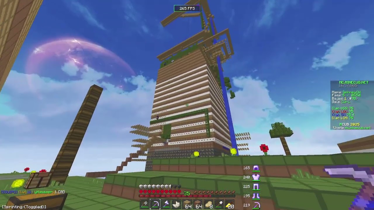 CW MINECUB | 