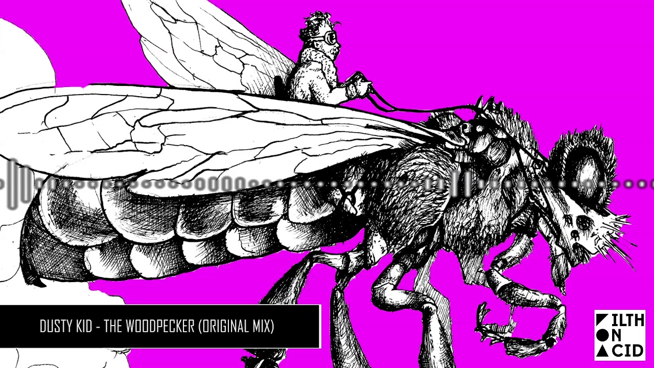 Dusty Kid - The Woodpecker (Original Mix)