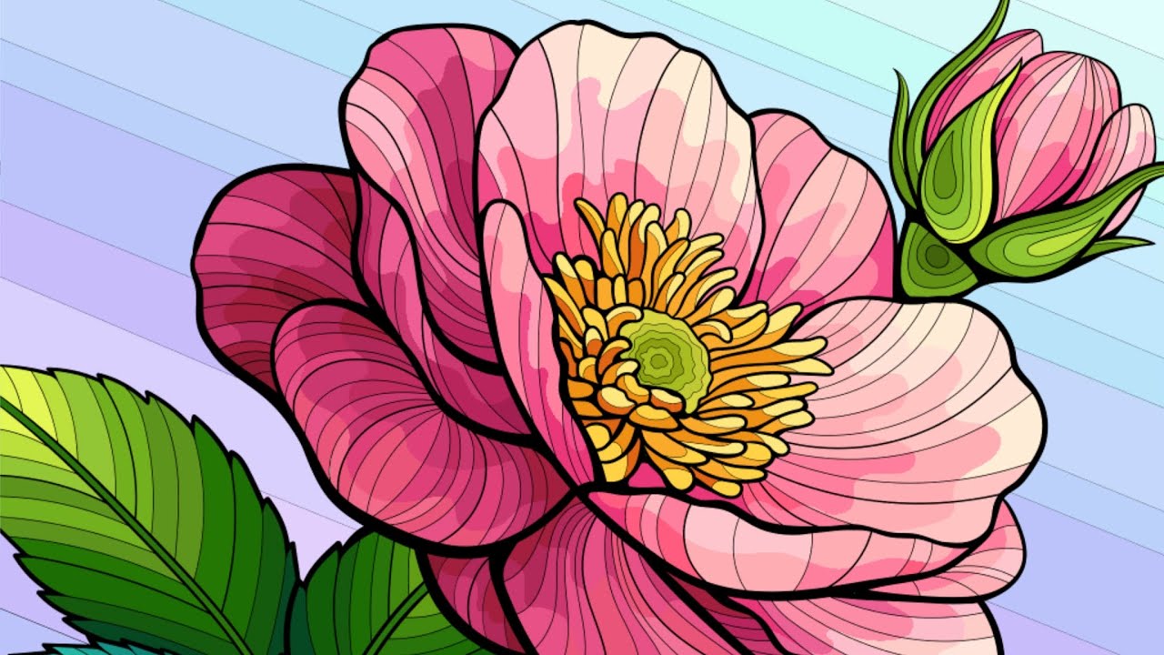 Pink Rose | Color by Number