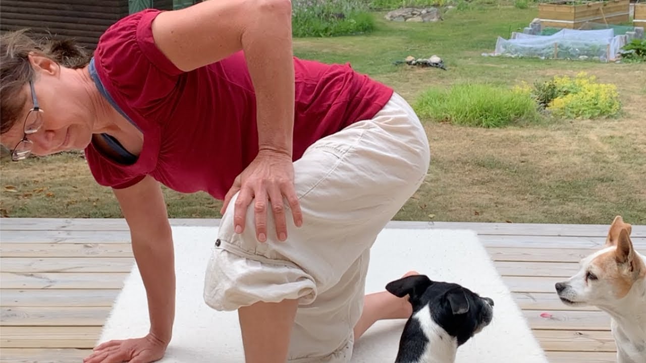 St&uuml;tzen auf das Knie und hochkommen AY409 | Feldenkrais Fridhill