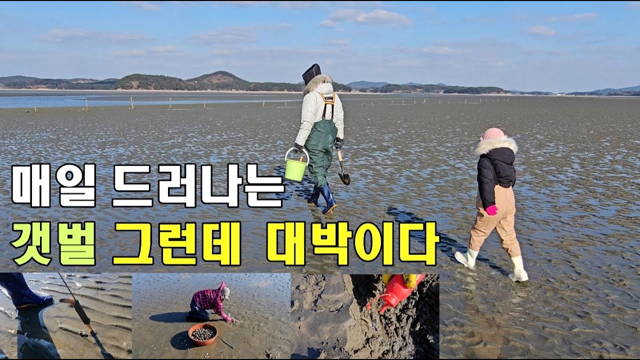 물때 관계없이 누구나 자유롭게..가족이 함께 오면 더욱 좋은 곳. This place catches a lot of seafood every day