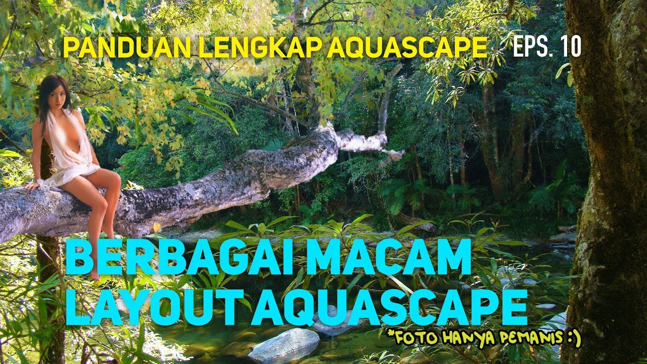 Belajar Layout Aquascape - Episode 10