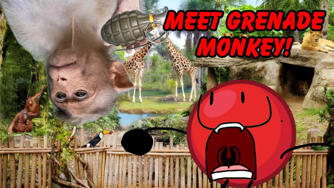 Red Ball Plays Zookeeper Simulator #1: MEET GRENADE MONKEY!