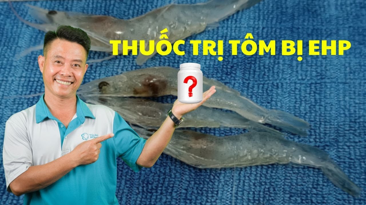 Thuốc đặc trị EHP trên tôm, bệnh EHP trên tôm