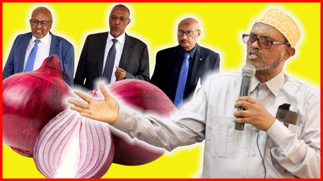 Axmed Yuusuf Yaasiin Oo Ka Deyriyey Heerka Aafada Qabyaaladdu Ka Marayso Somaliland