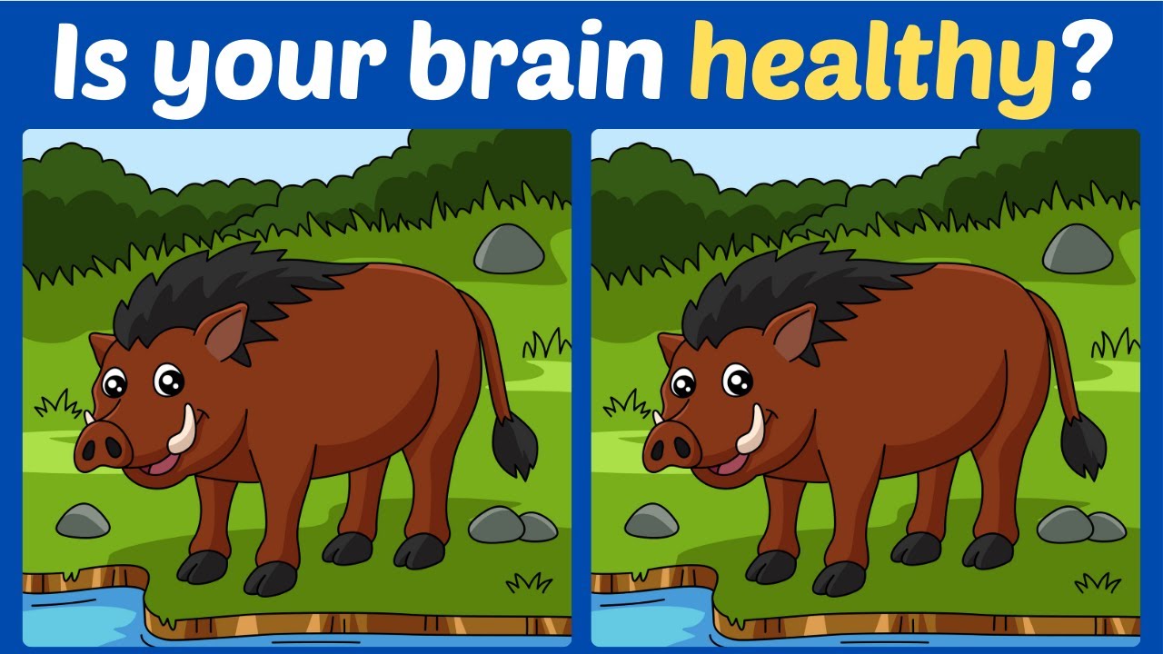 【Spot the difference】🔥10mins difficult puzzle improve your brain!!【Find the differences】