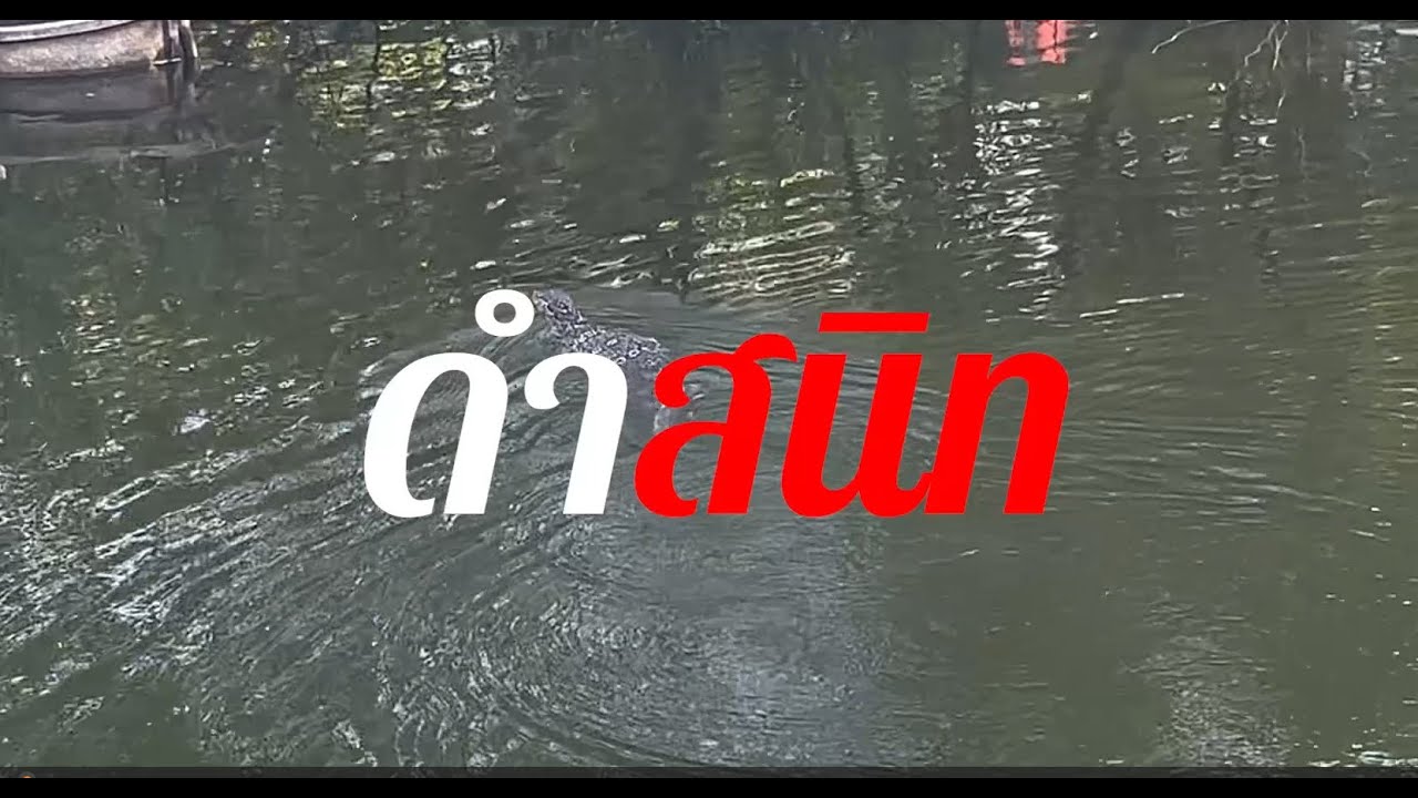 หนังสั้น เรื่องดำสนิท