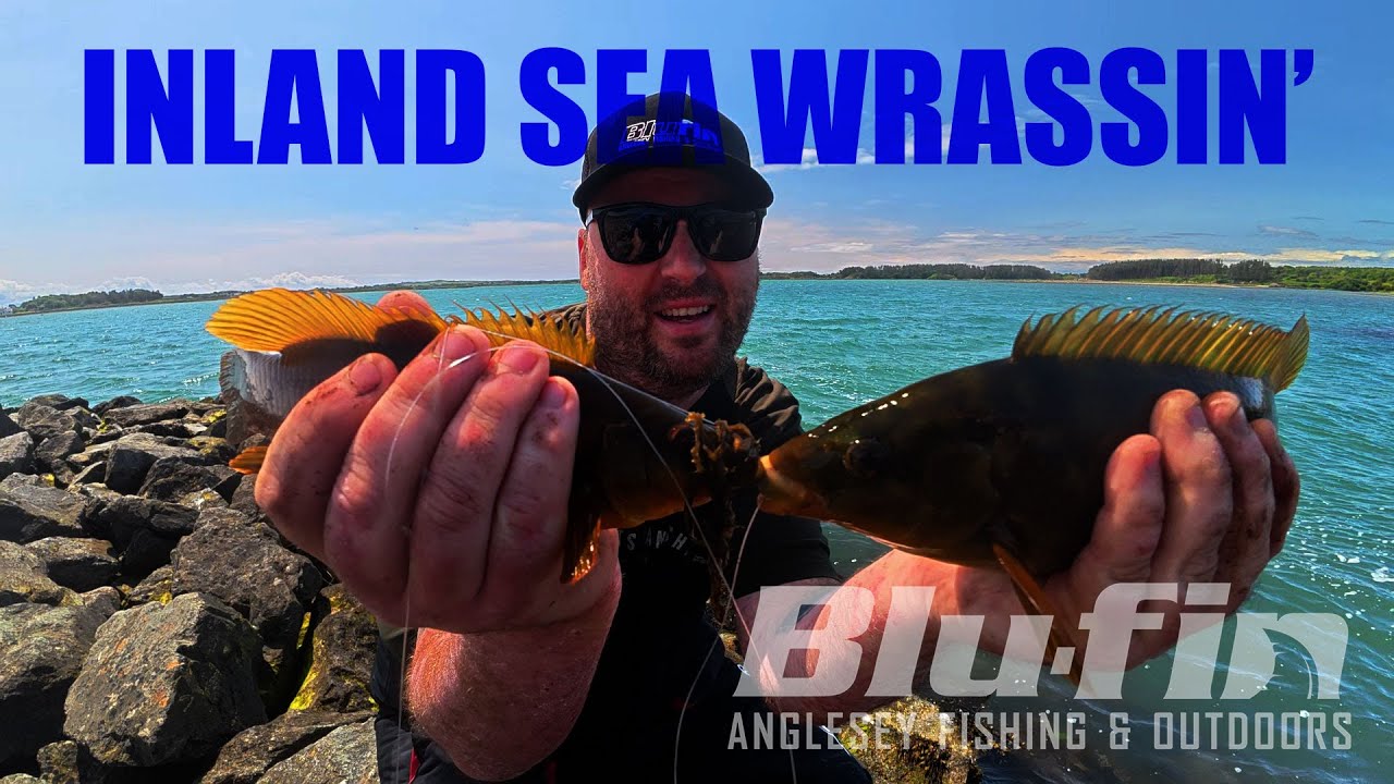 Wrasse bashing on the INLAND SEA - ANGLESEY