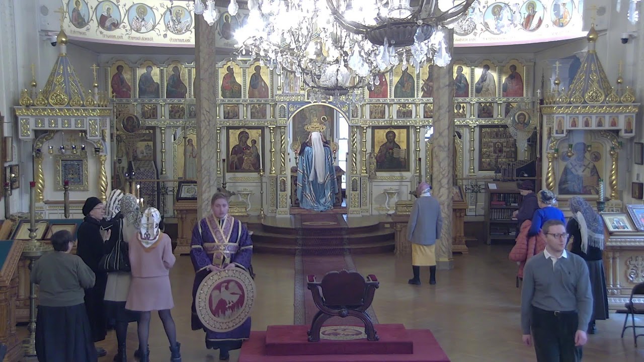 Synodal Cathedral of the Sign Live Stream