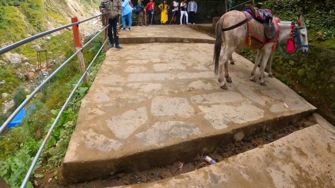 kedarnath yatra trek short video #kedarnath #kedarnathtrek #kedarnathdham