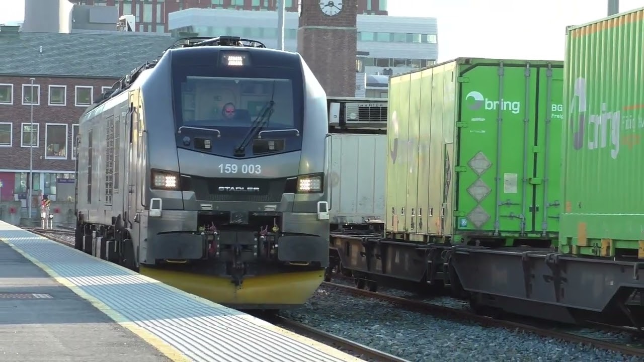 11/05/2025 Bodø #togtrafikk #trainspotting #nordland #cargonet #eurodual #stadler #trains #railway