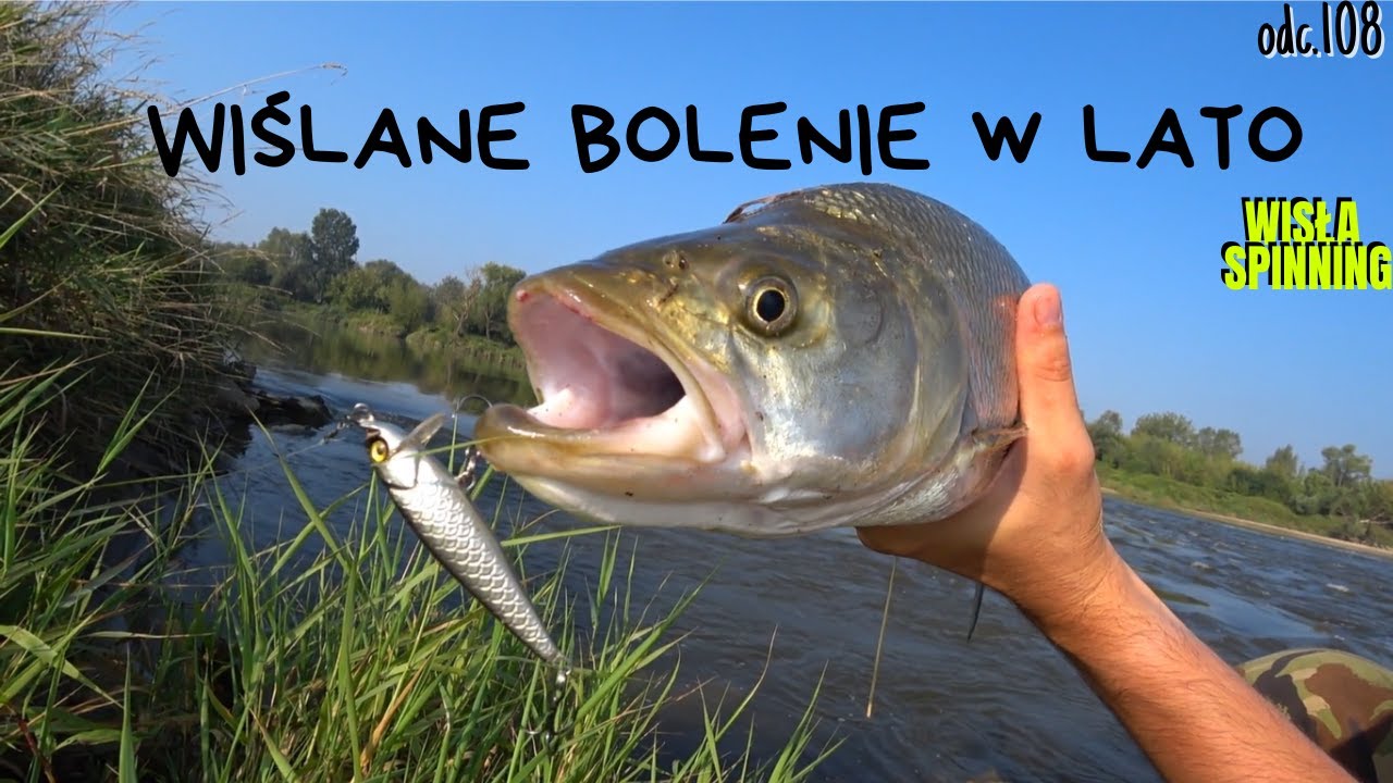 PRZECHYTRZYĆ KLAMOTA #vlog108 #handmade  #spinning #boleń #wisła #asp
