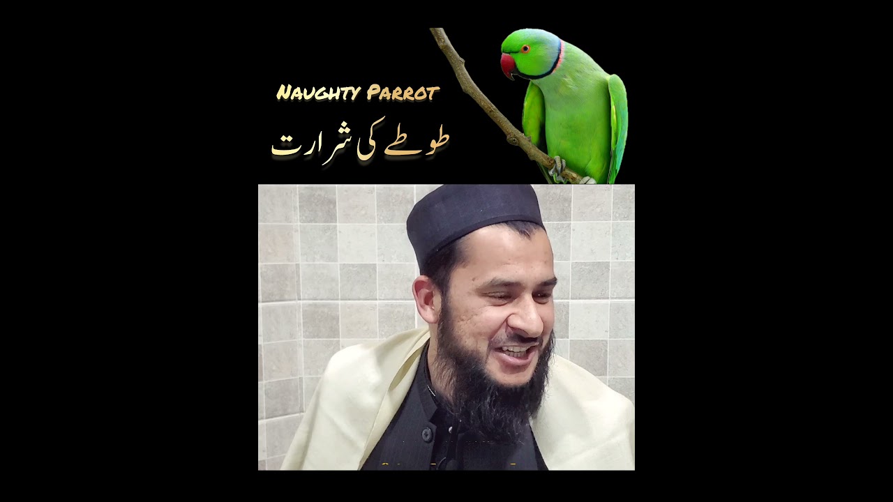 funny tooti 😁 😂 😀