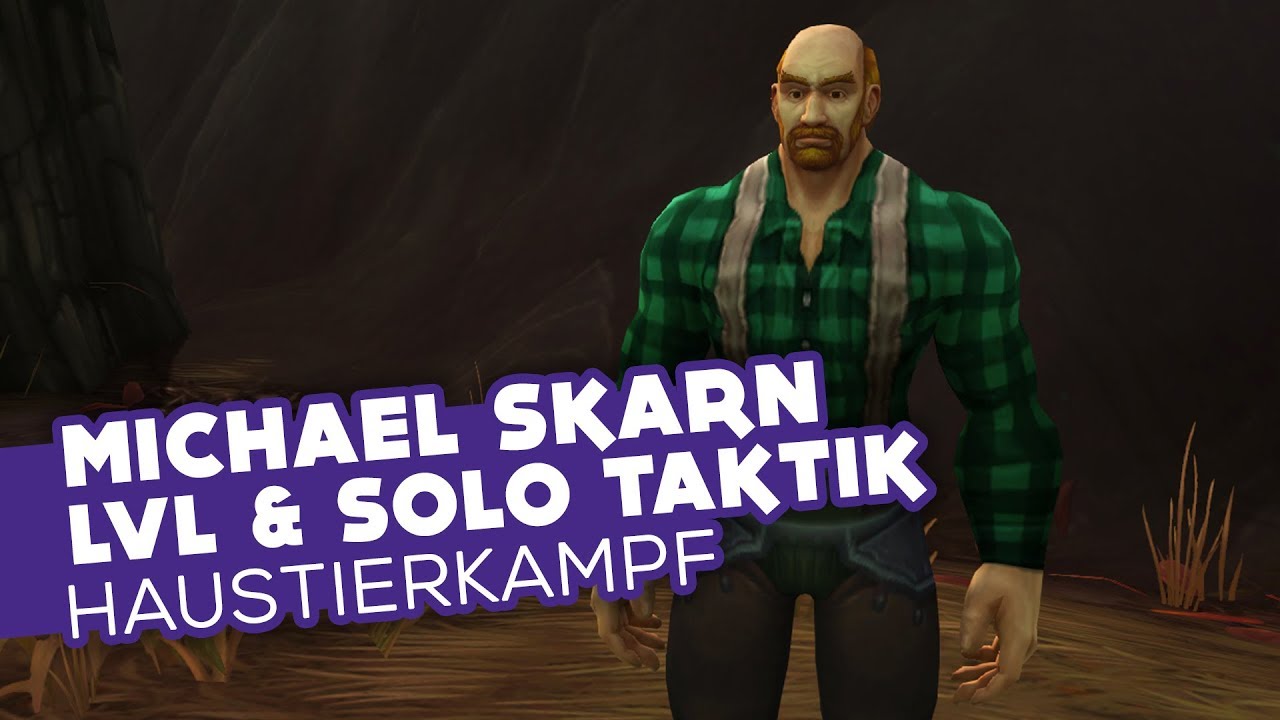 Michael Skarn | LVL Haustier und Solo Taktik (BFA Weltquest) - Haustierkampf Guide [WoW]