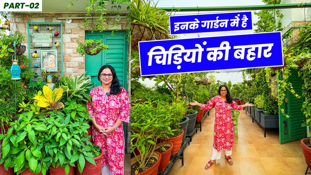 इनके गार्डन में है चिड़ियों की बहार 🐤 पक्षी बनाते है घोसले 🪺 Tips to Attract Birds In Your Garden🪴