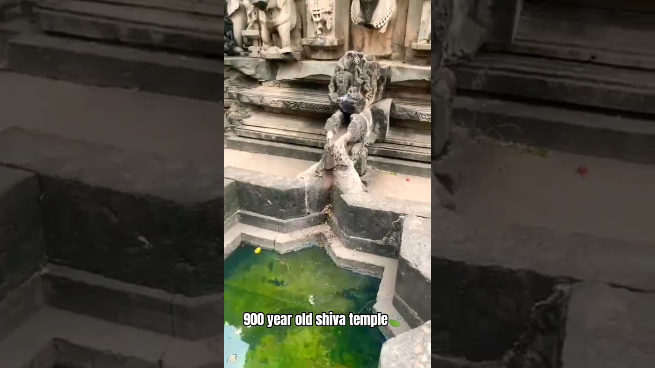 900 year old shiva temple 🍃🍂 #oldtemple #maharashtra #india #old #viral #trending #youtubeshorts