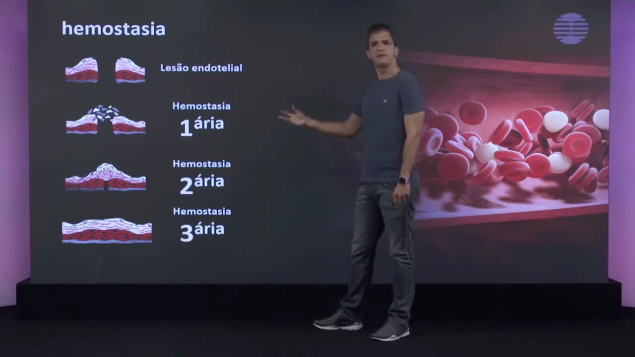 Distúrbios da Hemostasia Primária: Sinais, Diagnóstico e Tratamento!