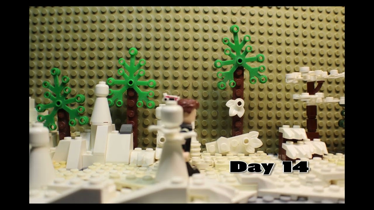 All videos of 2025
