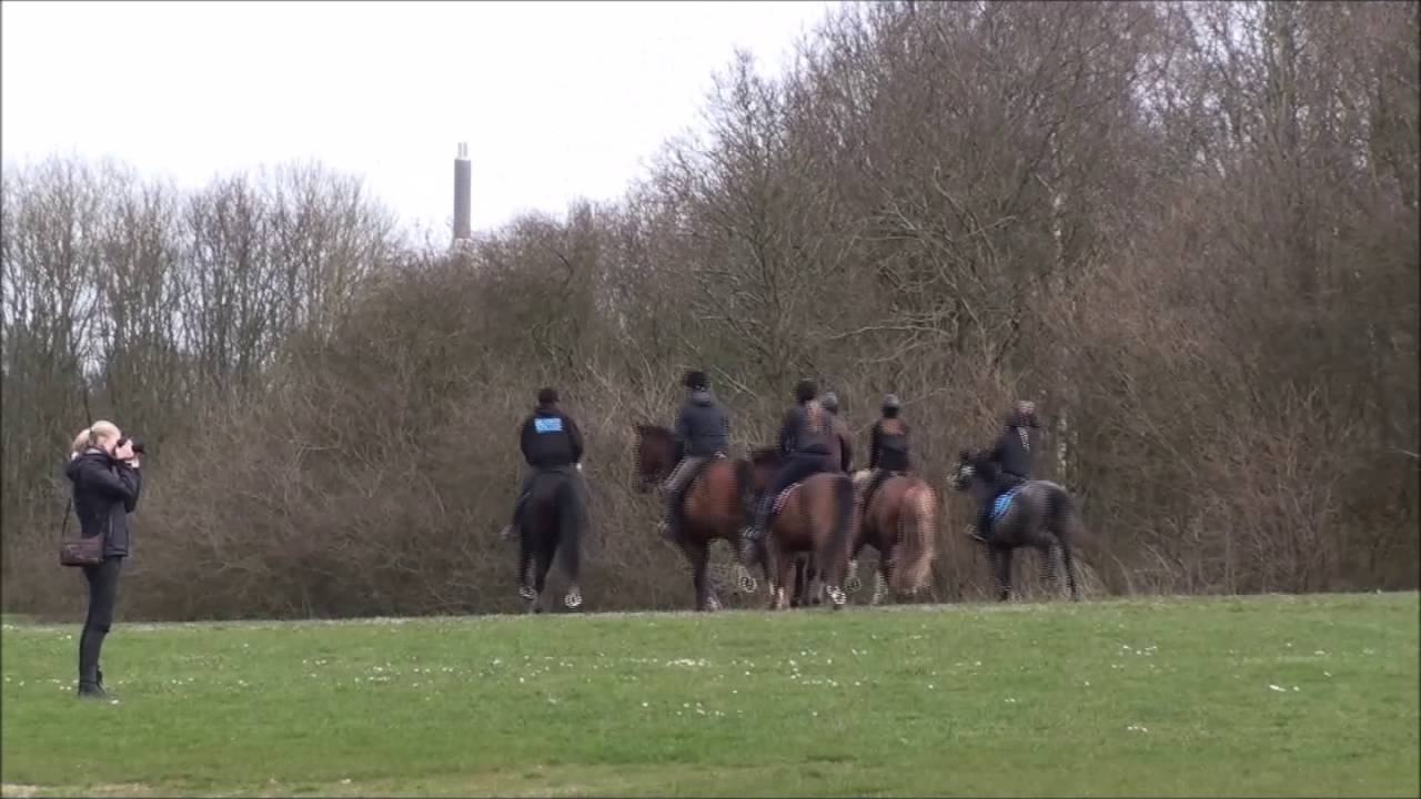 Jagttræning Odense 2016