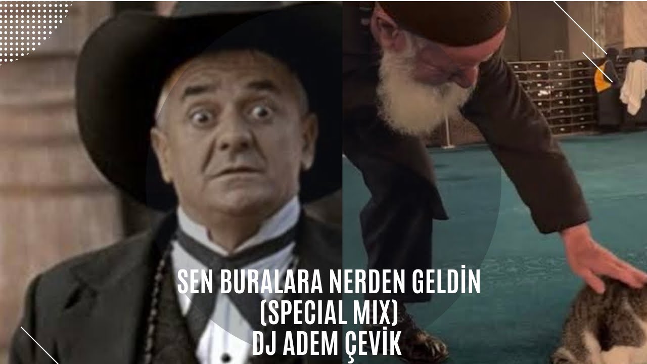 DJ ADEM &Ccedil;EVİK - SEN BURALARA NERDEN GELDİN - ZAFER ALG&Ouml;Z/CAMİDE KEDİ SEVEN DEDE (SPECIAL MIX)