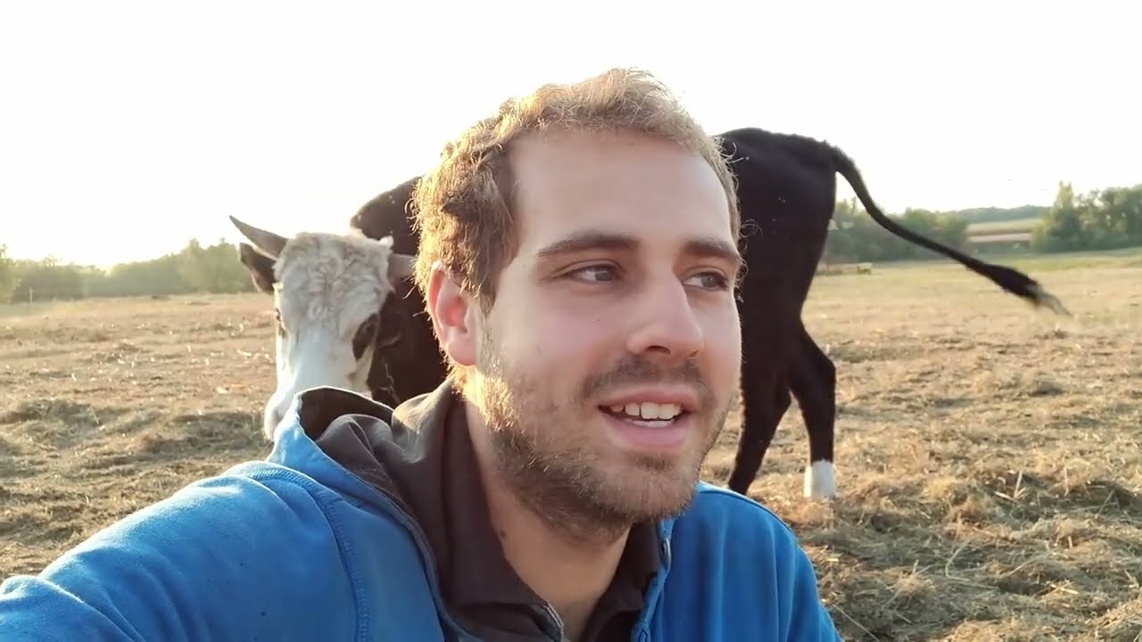 Wir verkaufen unsere Kühe!