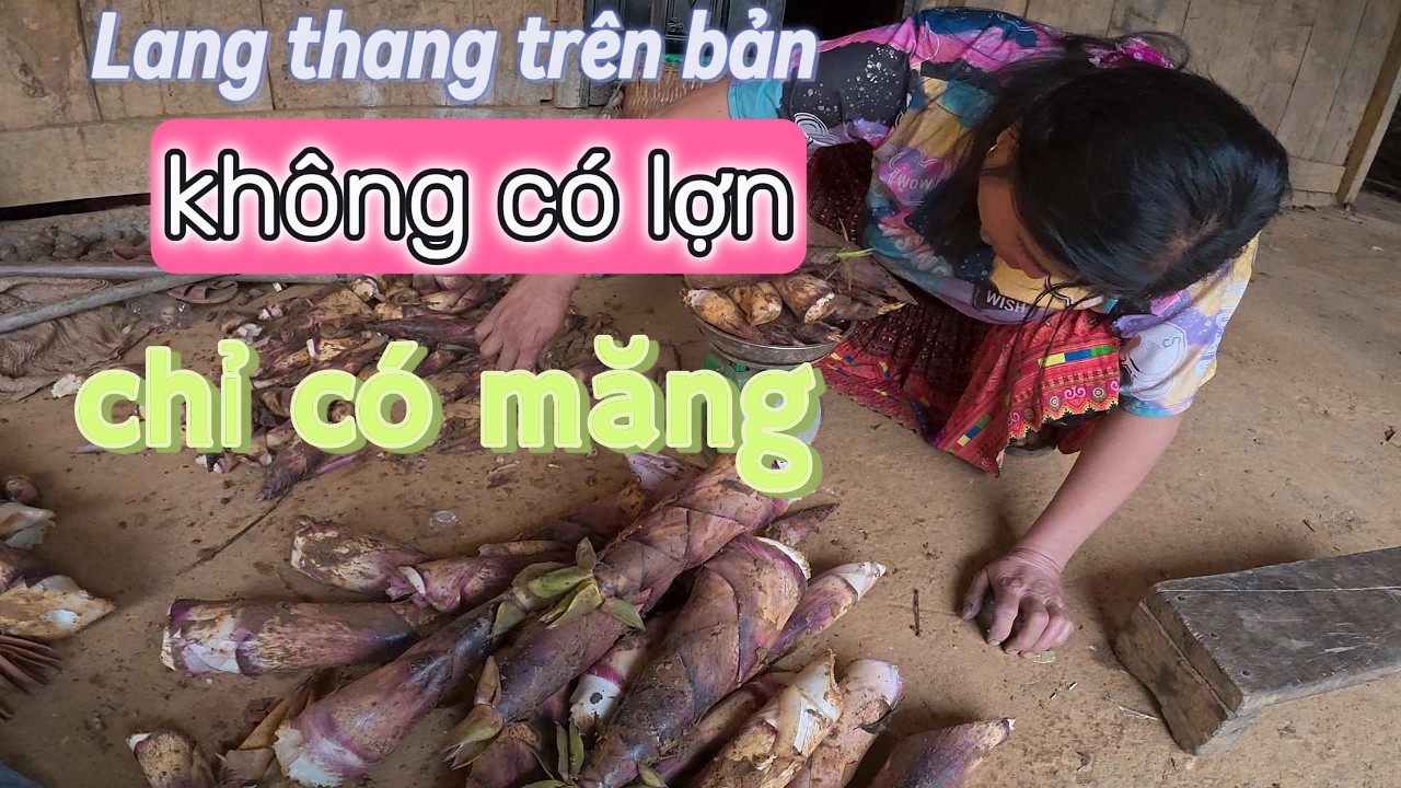 LỢN GIÁ CAO QUÁ VÀO MÙA MĂNG RỒI