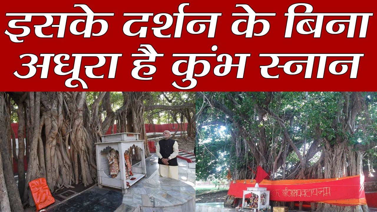 Kumbh: Akshay Vat Importance | संगम नगरी में इस वृक्ष के दर्शन के बिना अधूरा है कुंभ स्नान | Boldsky