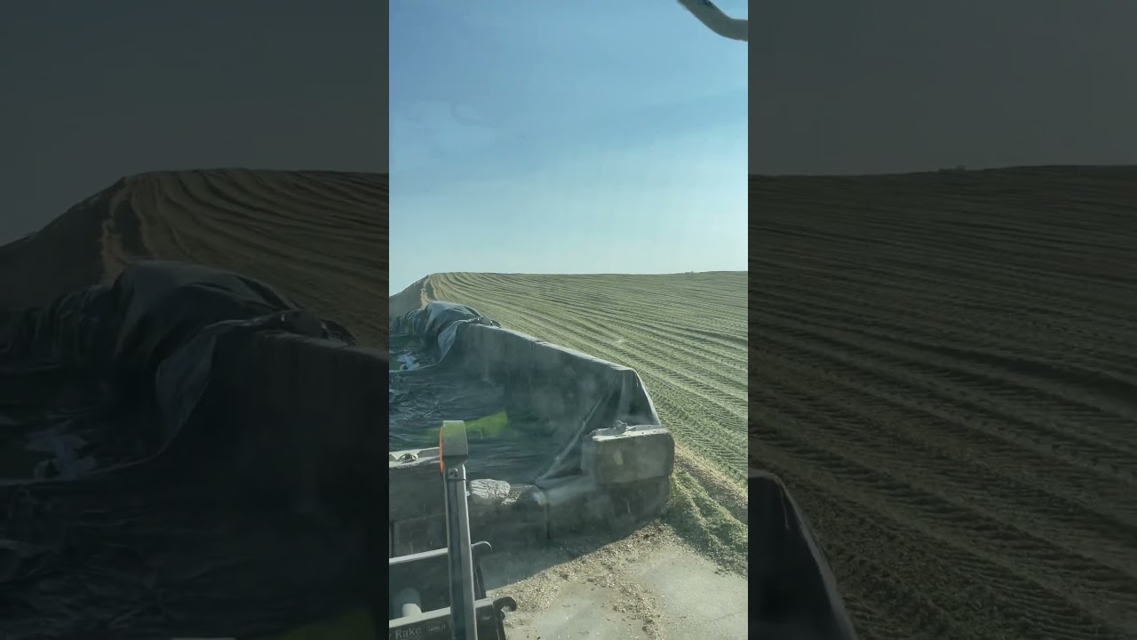 Sigenos paramas contenido comoeste 🙏