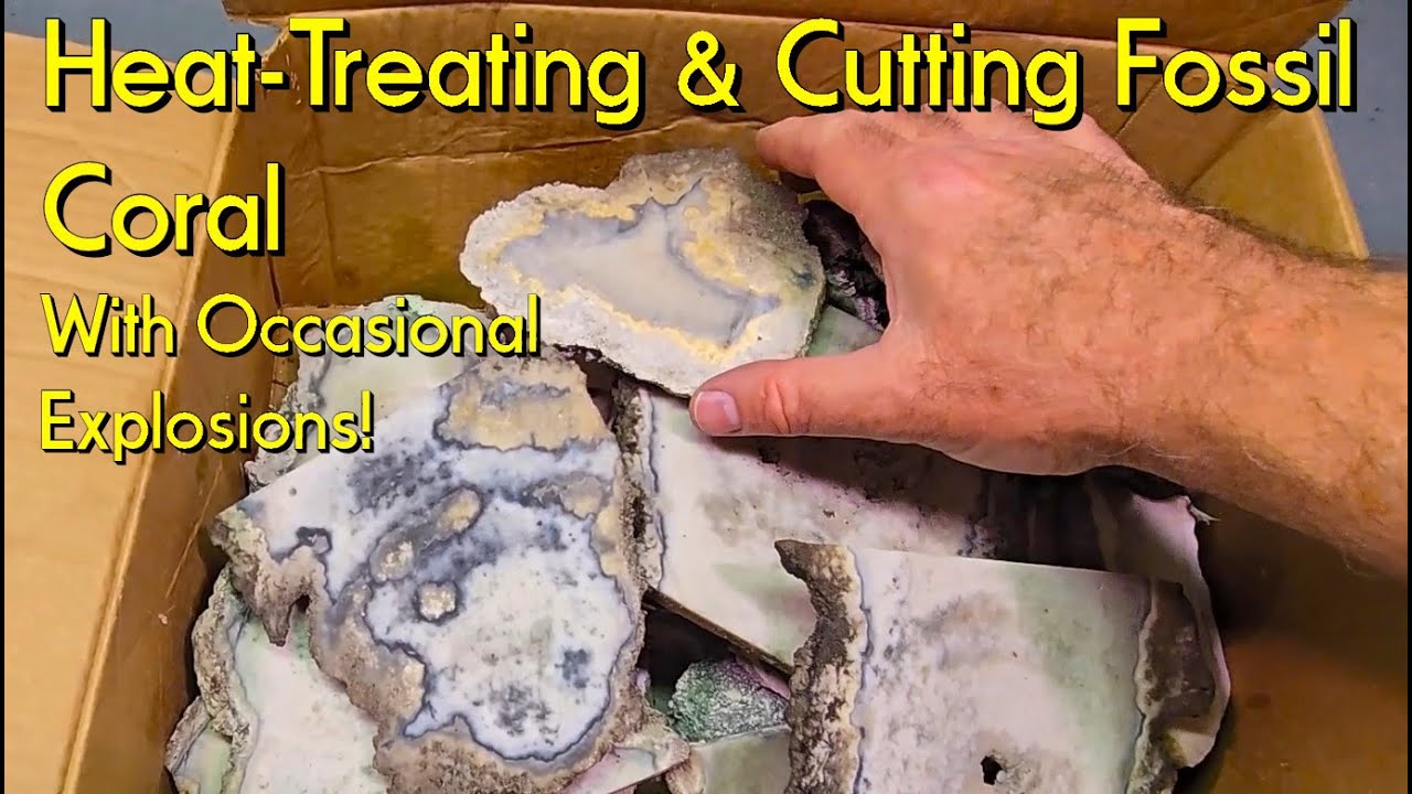 Heat Treating & Cutting Fossil Coral #fossils #coral #flintknapping #heattreating #kilnfiring
