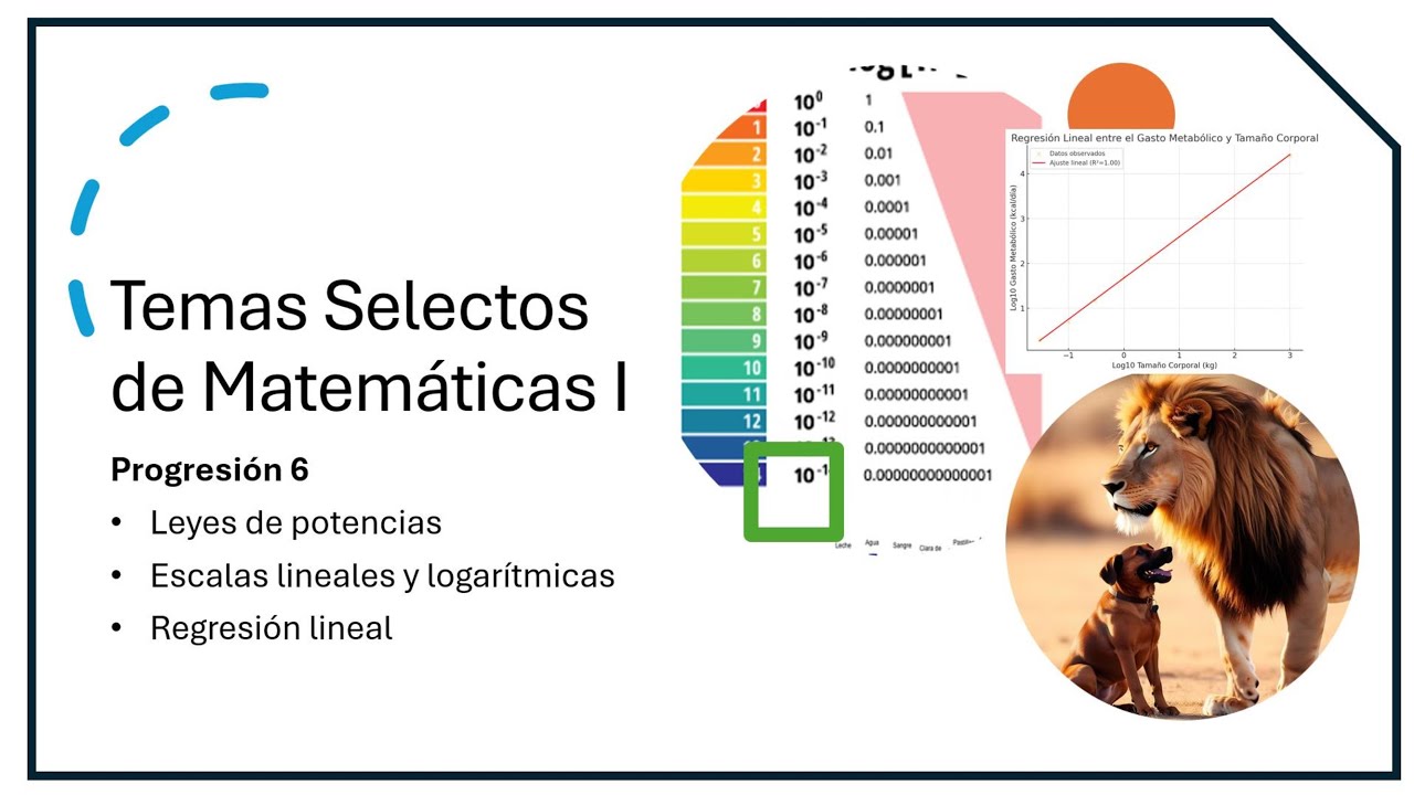TSM 1 | PROGRESION 6 | Leyes de Potencias, Escalas Logarítmicas y Regresión Lineal