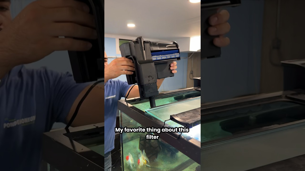 This filter also does WATER CHANGES?!