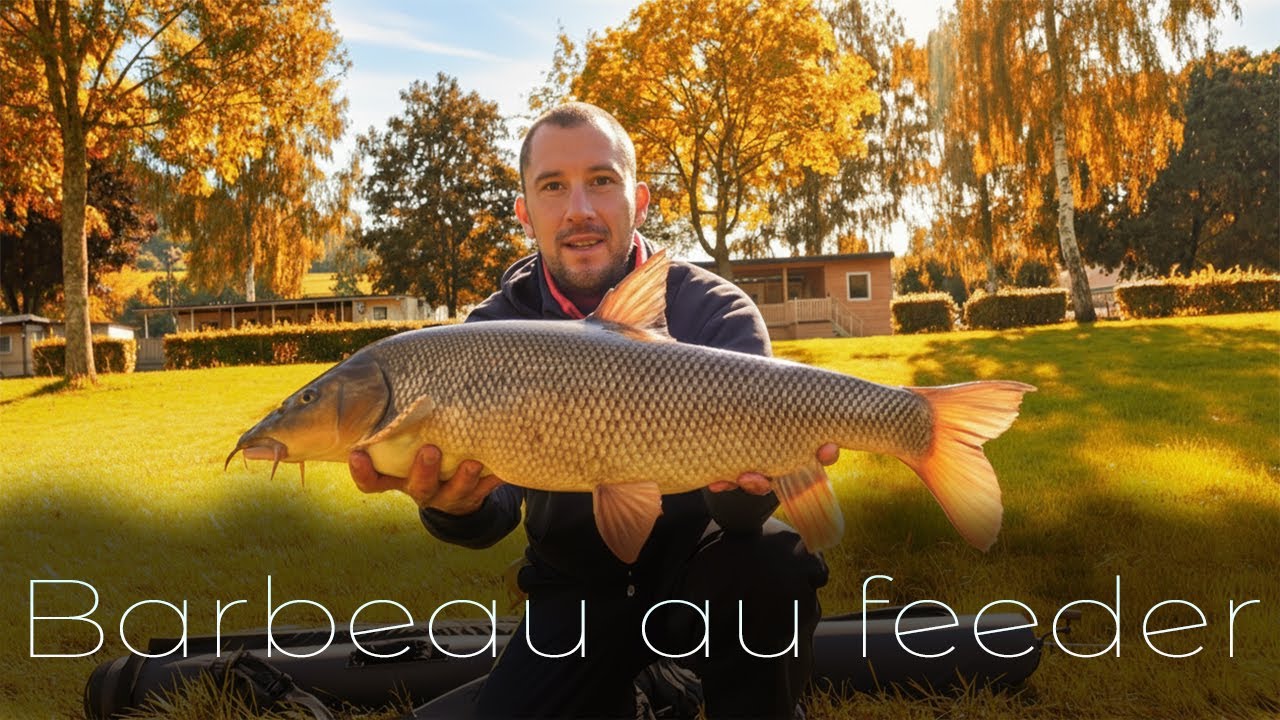 P&ecirc;che du barbeau au feeder: &eacute;pisode 1