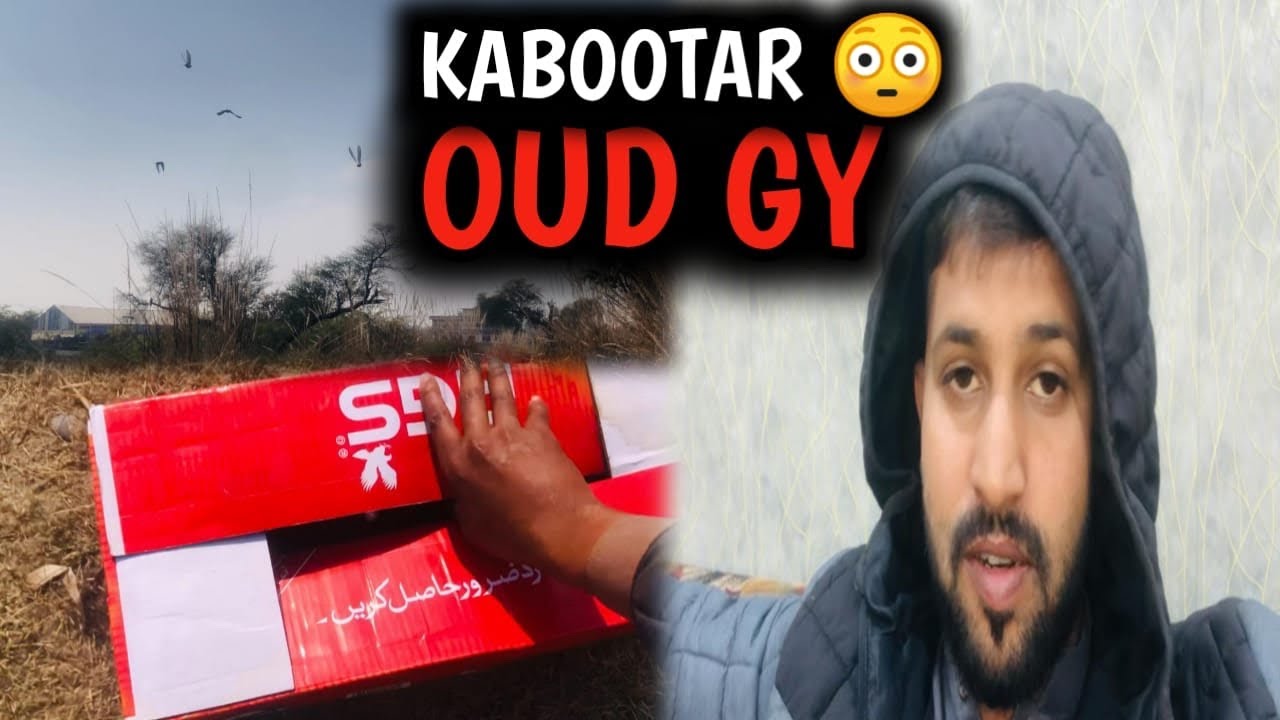 Kabootaro ko door se ouda kr aye.😳❤️