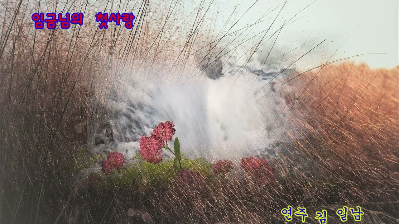 임금님의첫사랑