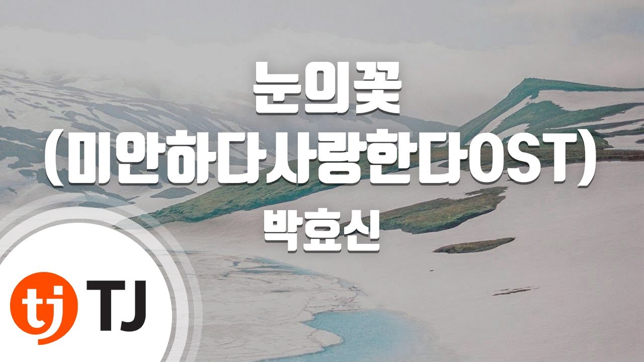 [TJ노래방 / 멜로디제거] 눈의꽃(미안하다사랑한다OST) - 박효신 / TJ Karaoke