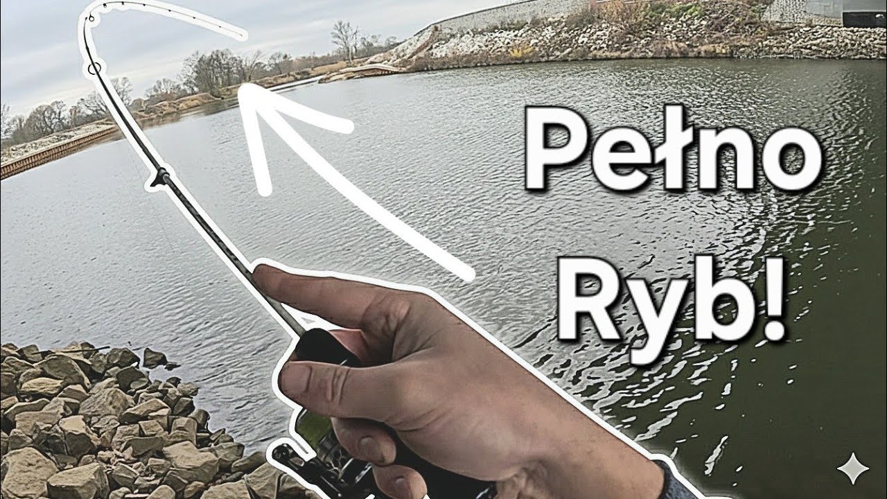 Kanał PEŁNY RYB! Musiałem tam Pojechać! Próbowałem Wszystkiego! Wędkarstwo Method Feeder, Spinning!