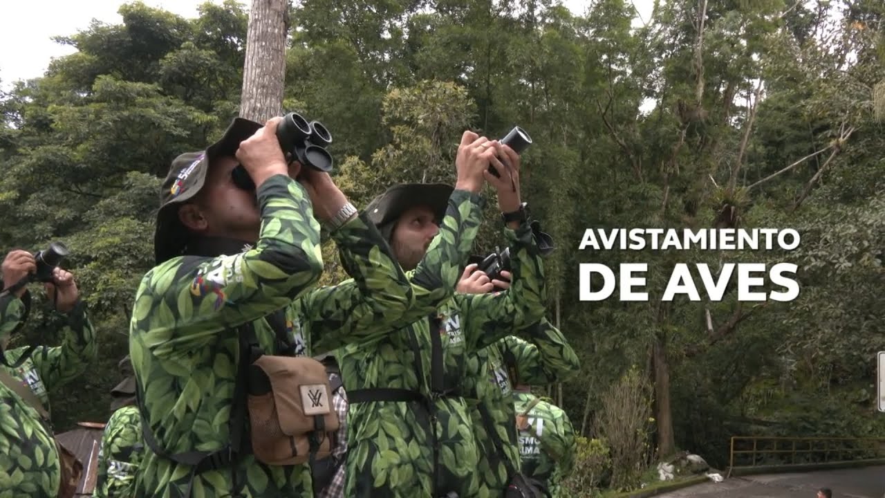 Aviturismo en Sasaima: aves, conservación y turismo sostenible | Enlace Trece