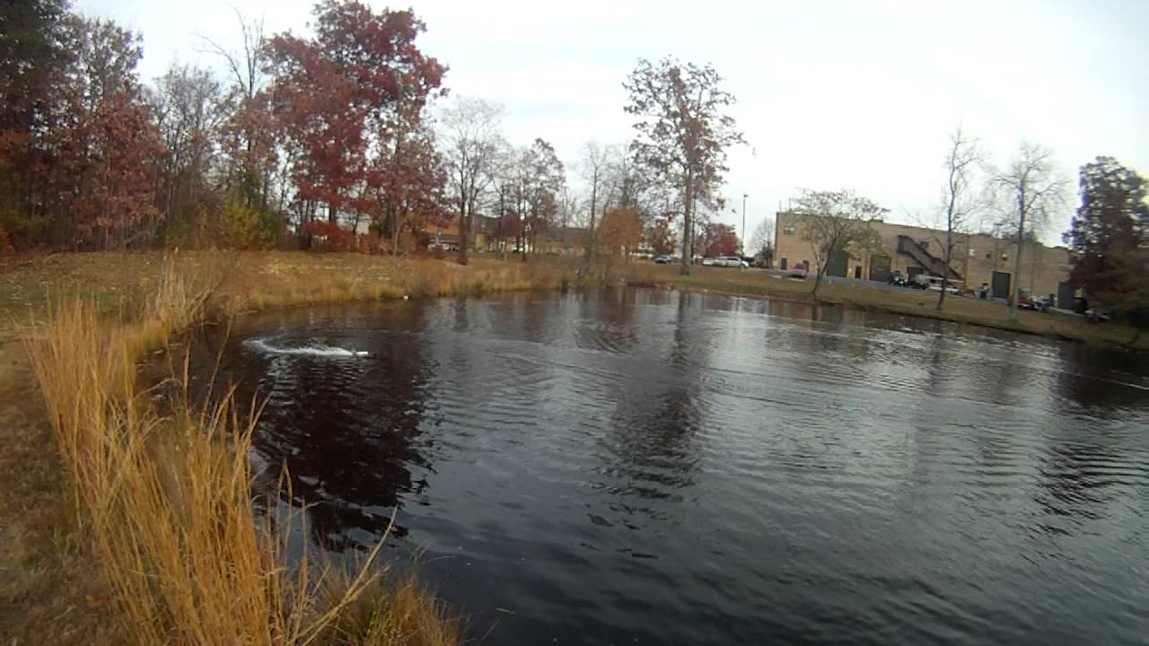 Centurion mini brushless